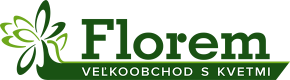 Florem